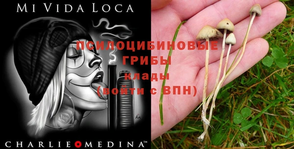 экстази Каменка