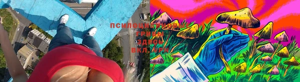 твердый Каменногорск